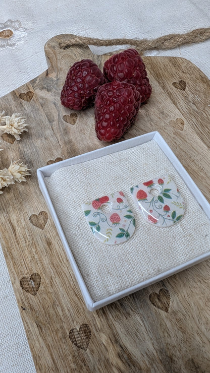 ELA framboises